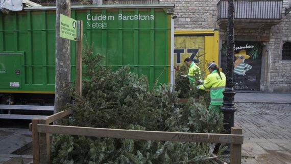 Punt de recollida d'avets de Nadal