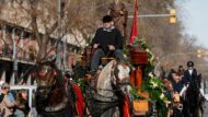 Carrossa tirada per cavalls amb una estàtua de Sant Antoni Abat desfilant pel passeig de Torras i Bages durant la celebració dels Tres Tombs de Sant Andreu de Palomar.