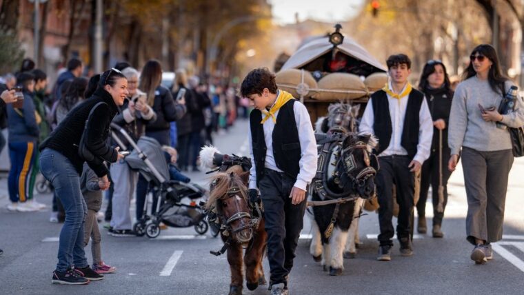Passeig dels ponis dels Tres Tombs de Sant Andreu 2025