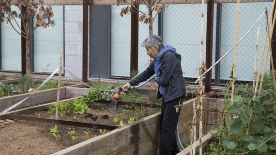 Una dona regant l'hort urbà